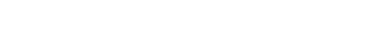 天津兩只壁虎新材料科技有限公司